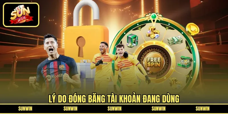Lý do đóng băng tài khoản đang dùng 